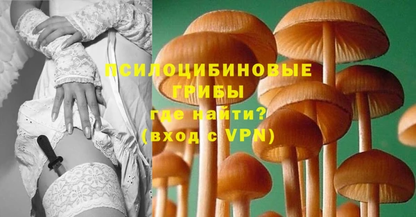 мдпв Красноперекопск
