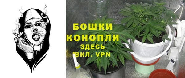 соль ск Краснослободск