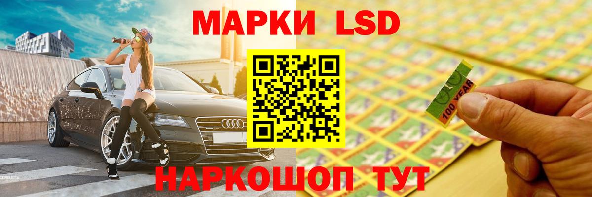Псилоцибиновые грибы Грозный