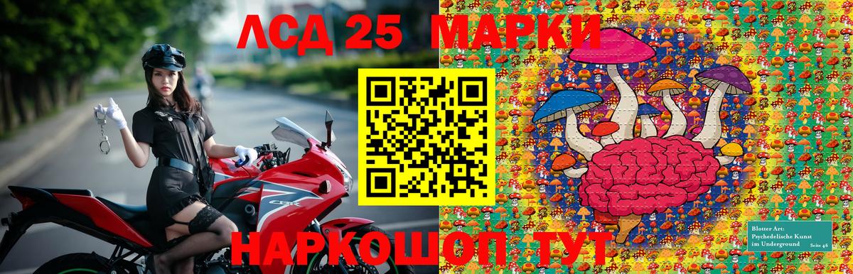 Грозный  Марки NBOMe 1,5мг  Вход с VPN 